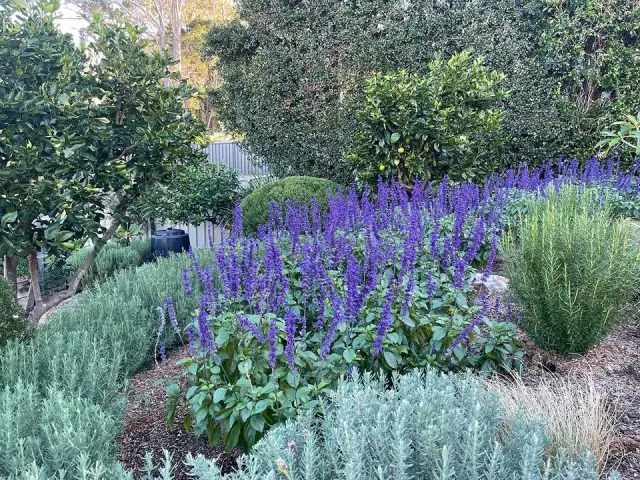 Jervis Bay Gardens cover
