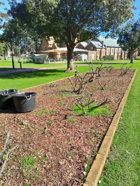 JGS Group AU Gardening Services