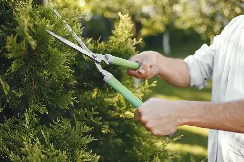 Jigs Garden Services