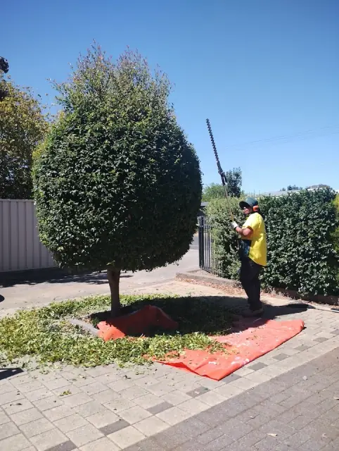 Jim's Mowing Modbury Heights East