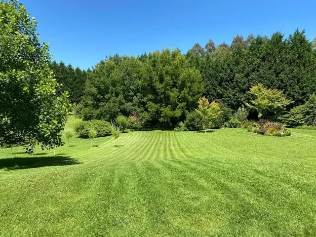 Jim's Mowing (Moss Vale Central) cover