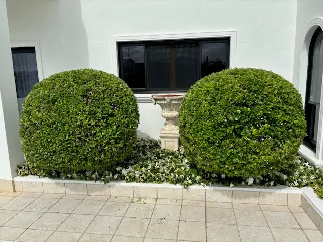 Jim's Mowing (Tanah Merah)