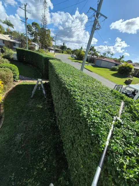 Jim's Mowing (Thornlands North) cover