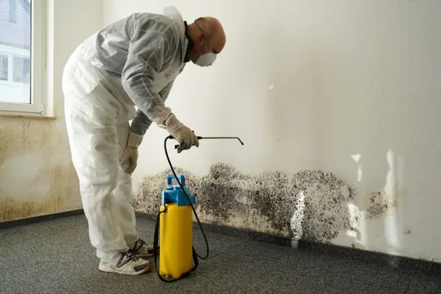 JNA Cleaning Canberra cover