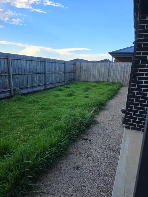 Joe's Lawn maintenance services