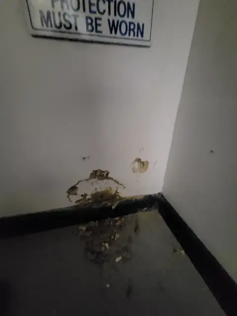 Joe's Pest & Termite Solutions