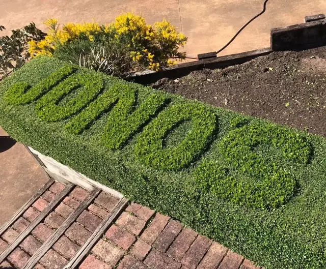 Jono's Hedges