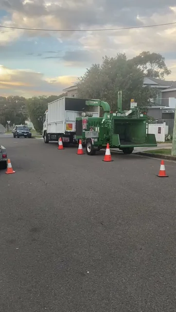 JW Tree Services cover
