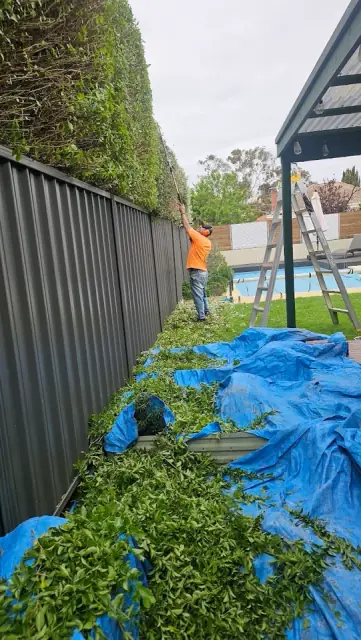 Kal Gardening and landscaping