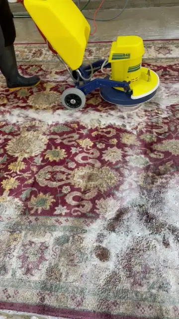 Kings Rug Wash cover
