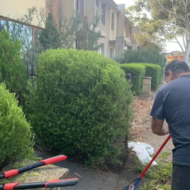 Lawn Hustlers