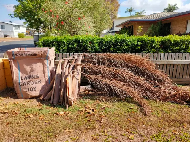 Lawn's Garden Tidy cover