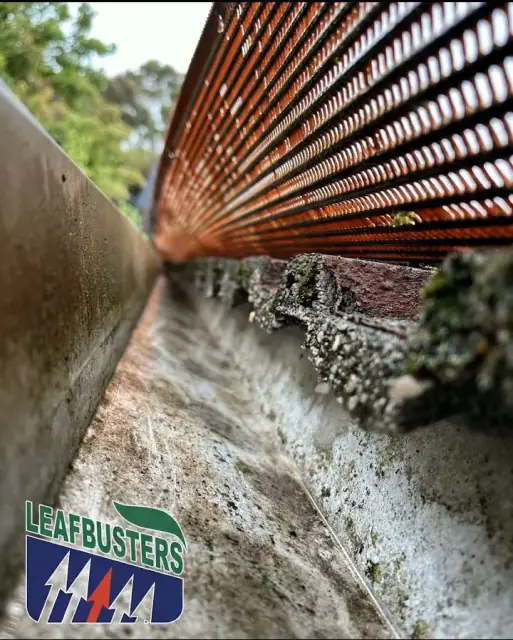 Leafbusters cover