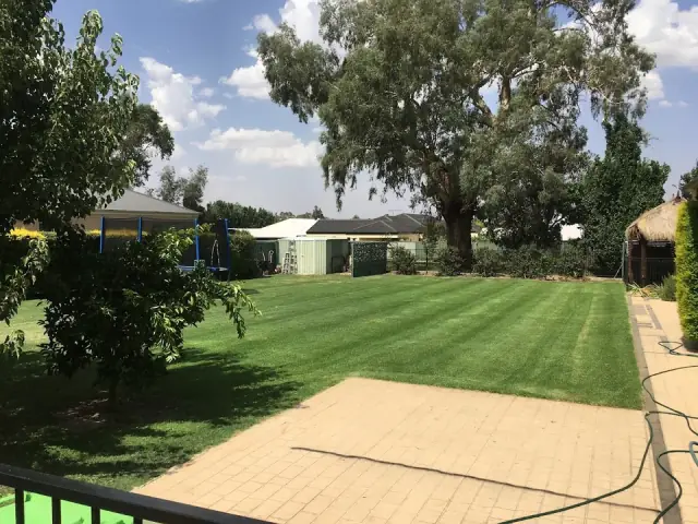 Leif & Lawns cover