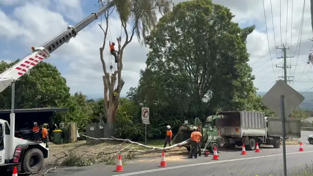 Lennox Head Tree Care cover