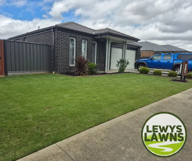 Lewys Lawns