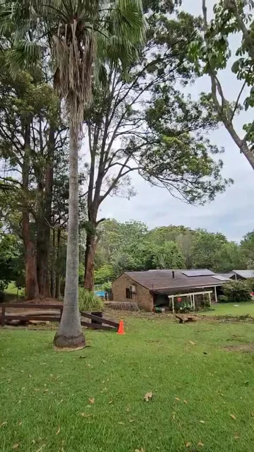 Limb-it-Less Tree Services cover