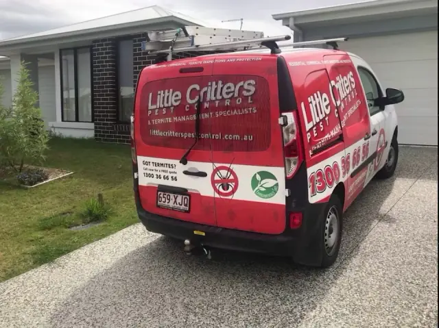 Little Critters Pest Control & Termite Management Specialists cover