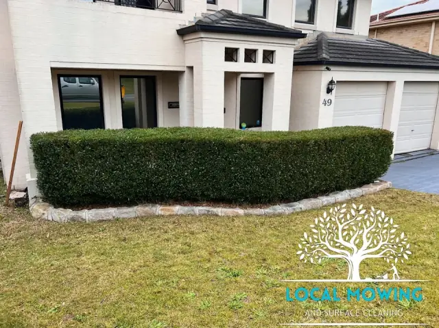 Local Mowing and Surface Cleaning
