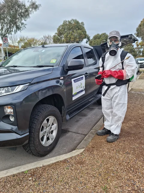 Local Pest Control Pro