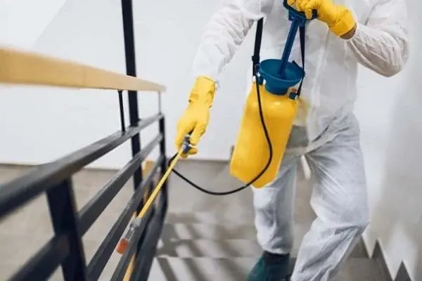Local Pest Control Wollongong cover