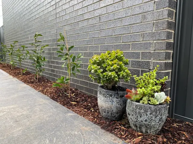 Luc Antony Garden Design