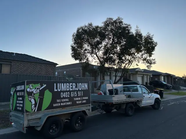 Lumberjohn Tree Care cover