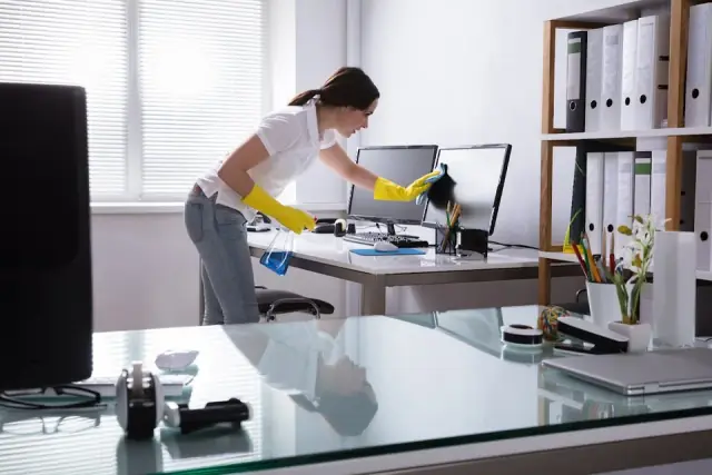 Luna Sage Professional Cleaning cover