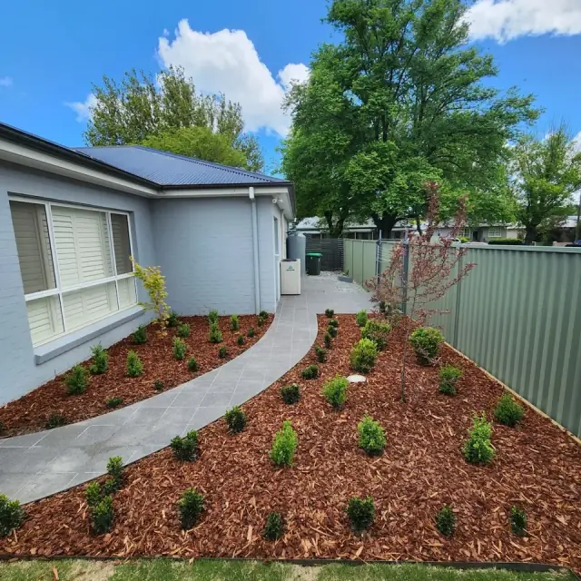 Lush Designer Landscapes cover