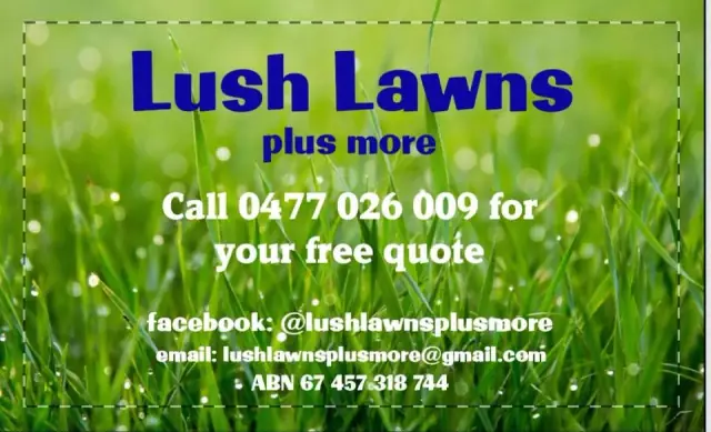Lush Lawns Plus More