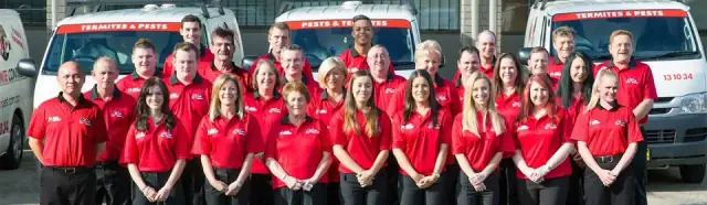 M&M Termite & Pest Control Condell Park cover