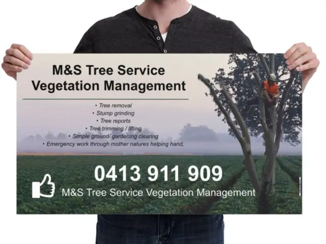 M&S tree services vegetation management