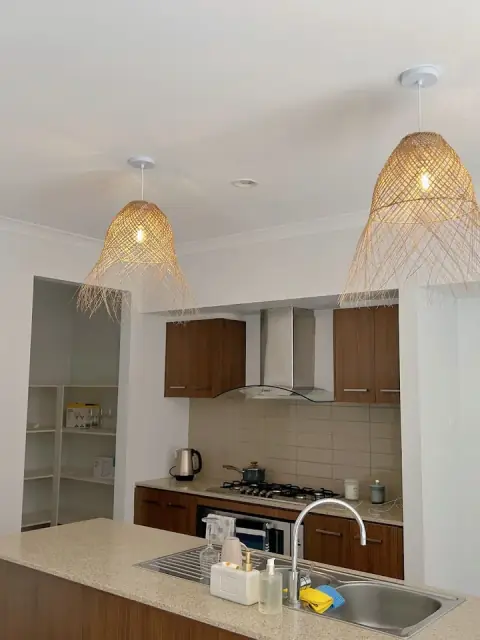 Mad Monkey Electrical