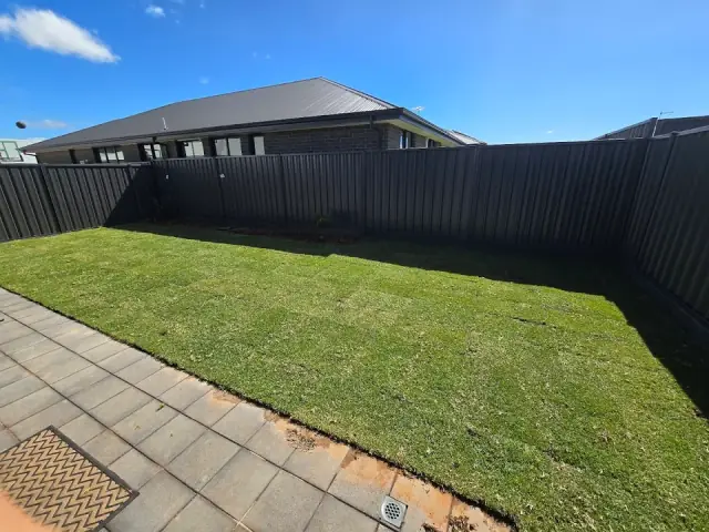 Maddern's Place Garden & Landscaping