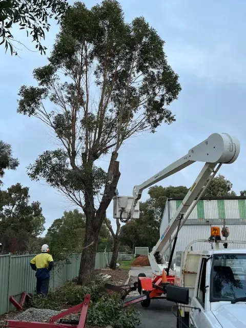 Maddington Tree Service cover