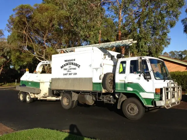 Maggs Tree & Garden Services