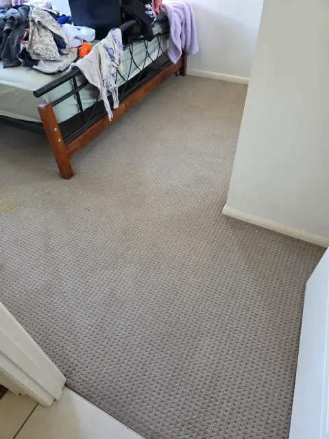 Magic Carpet Cleaning & Restoration Townsville cover