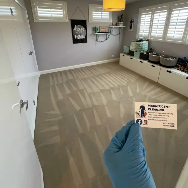Magnificent Cleaning cover
