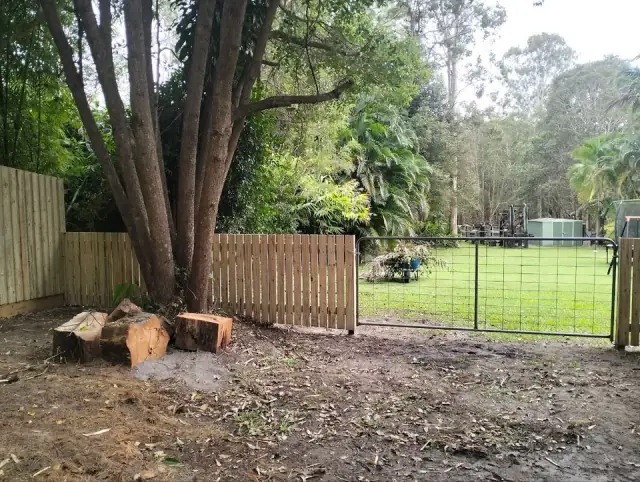 Mainline Fencing