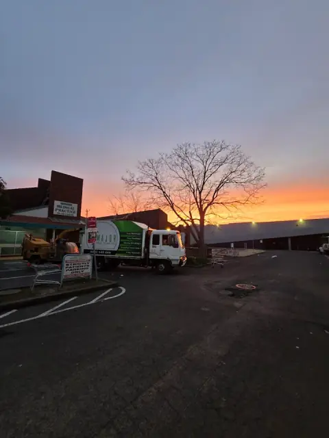 Major Tree Services