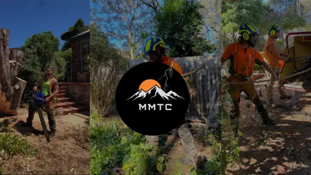 Manna Mob Tree Care