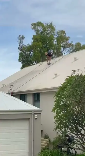 MANTA Cleaning Solutions | Gutter & Roof Cleaning | Pressure Cleaning cover