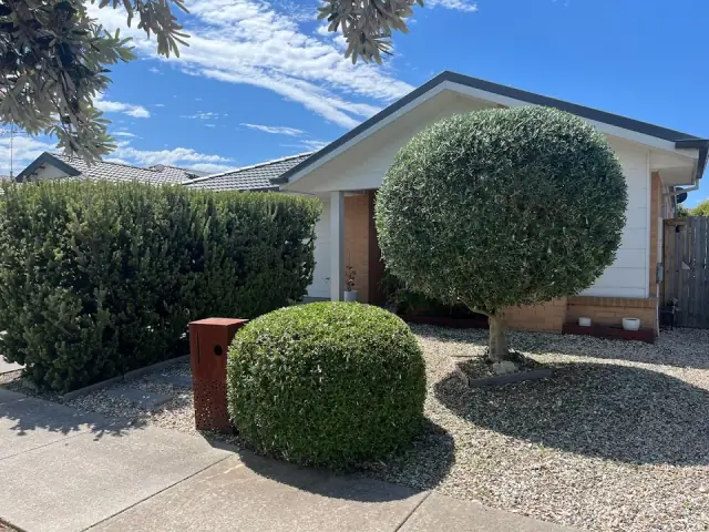 Mason's Gardening