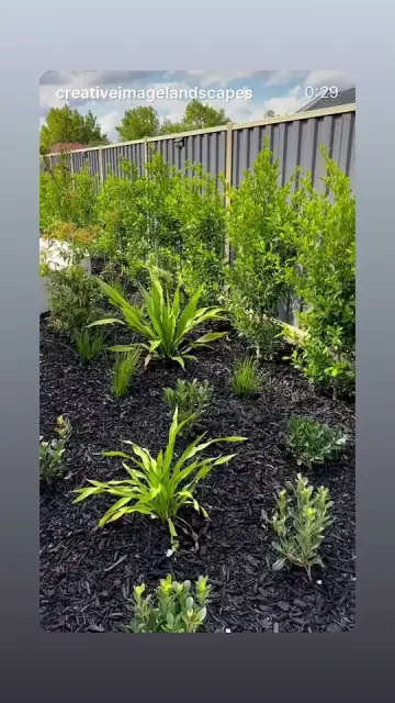 Master Pools Australia cover