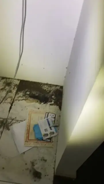 Masters Pest Control Sydney cover