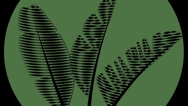 Maxi Green Landscaping