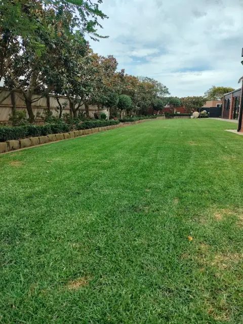 Maya Complete Garden Care