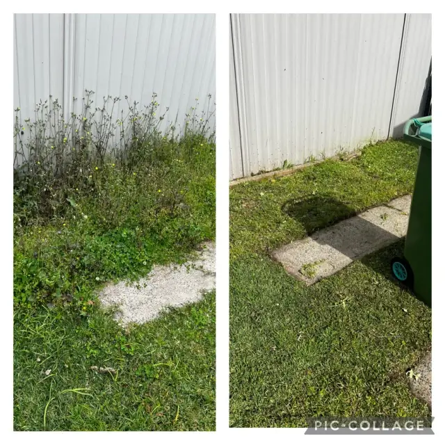 MD Lawns & Property