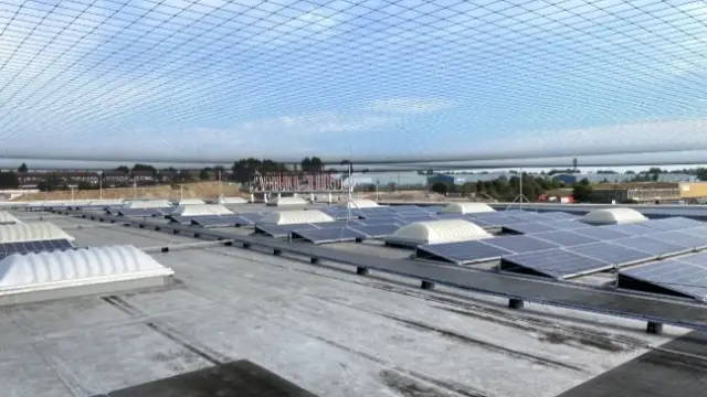 Melbourne Bird Solutions