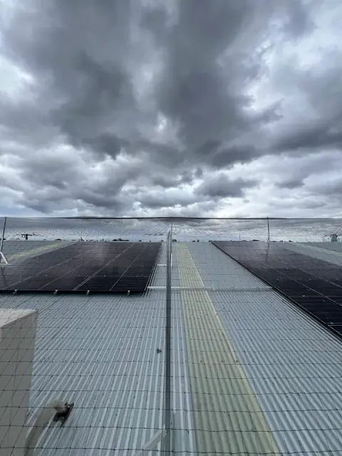Melbourne Bird Solutions cover
